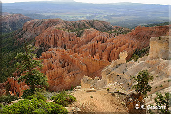 Blick vom Bryce Point